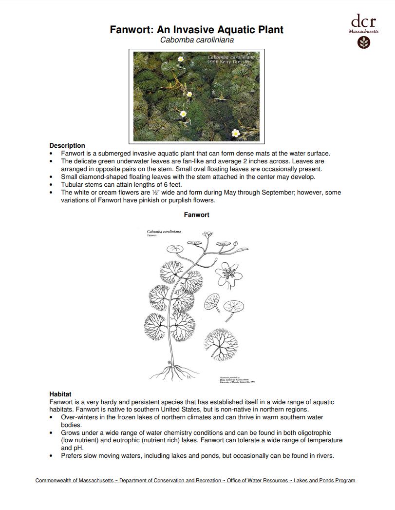 Fanwort Profile And Resources Invasive Species Centre