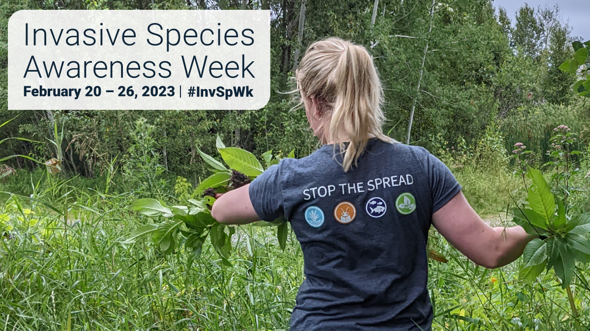 Join The Conversation During Invasive Species Awareness Week February