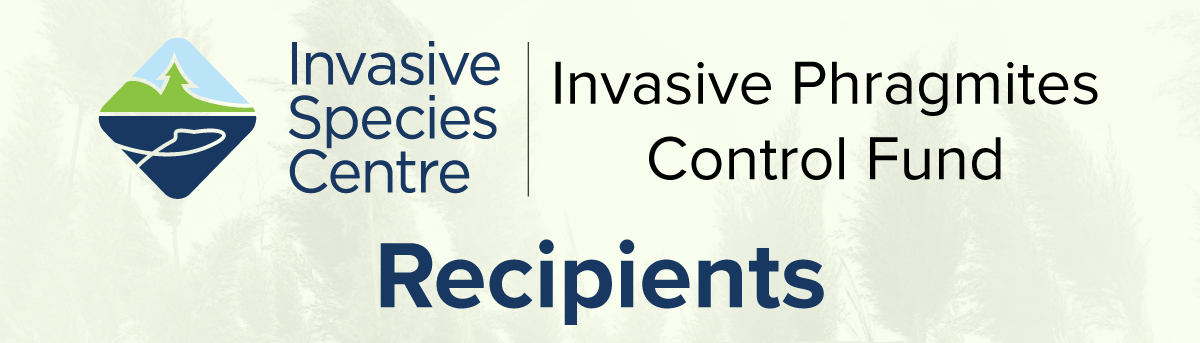 Invasive Phragmites Control Fund Recipients Invasive Species Centre