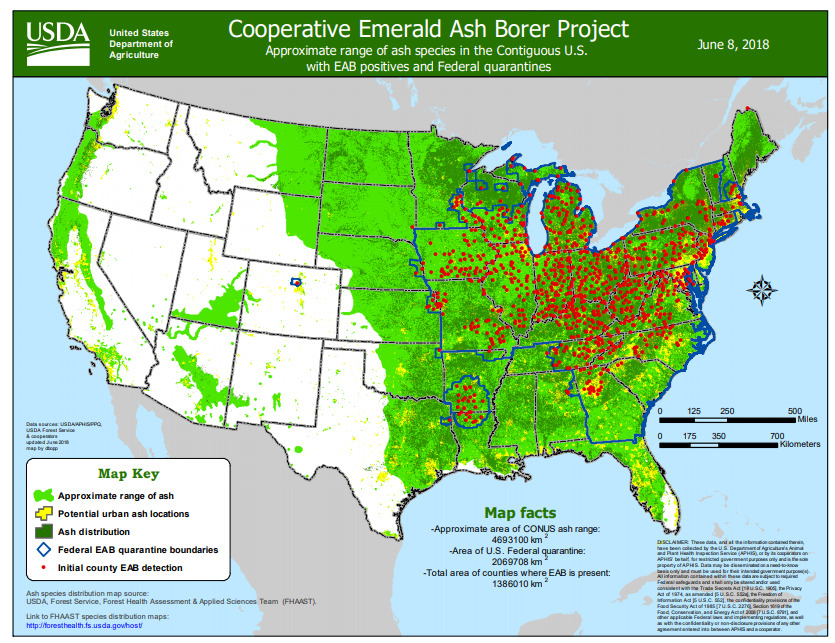 Emerald Ash Borer Profile Invasive Species Centre