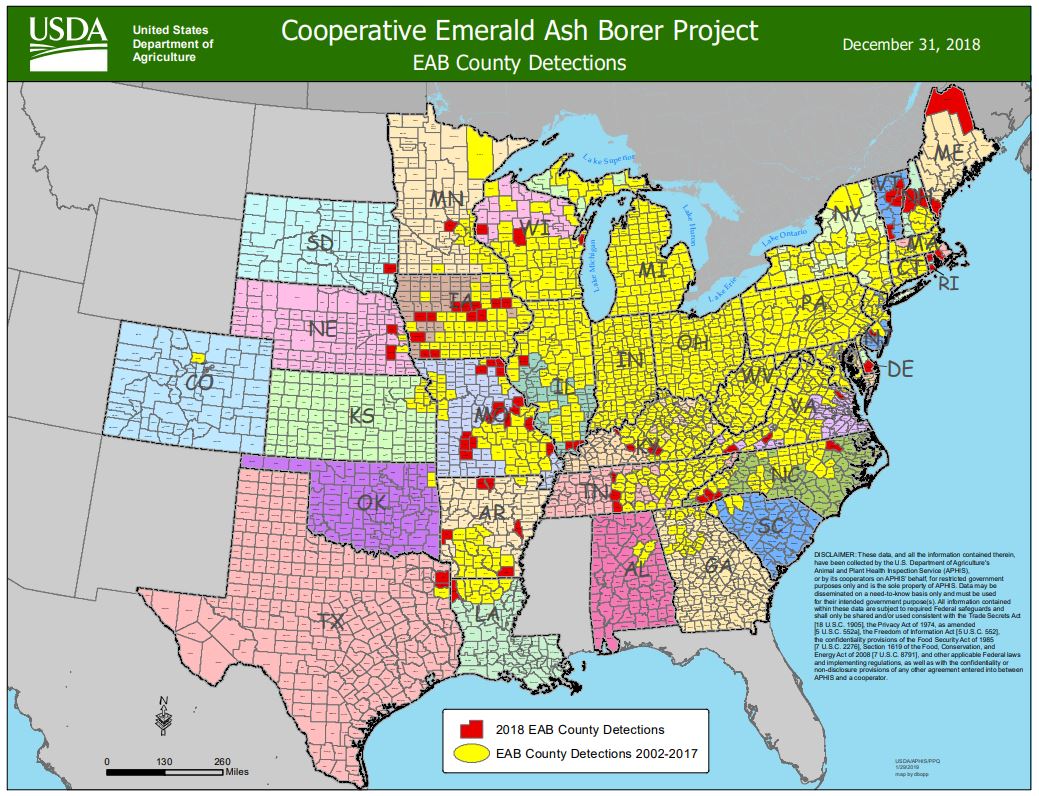 United States Emerald Ash Borer Map