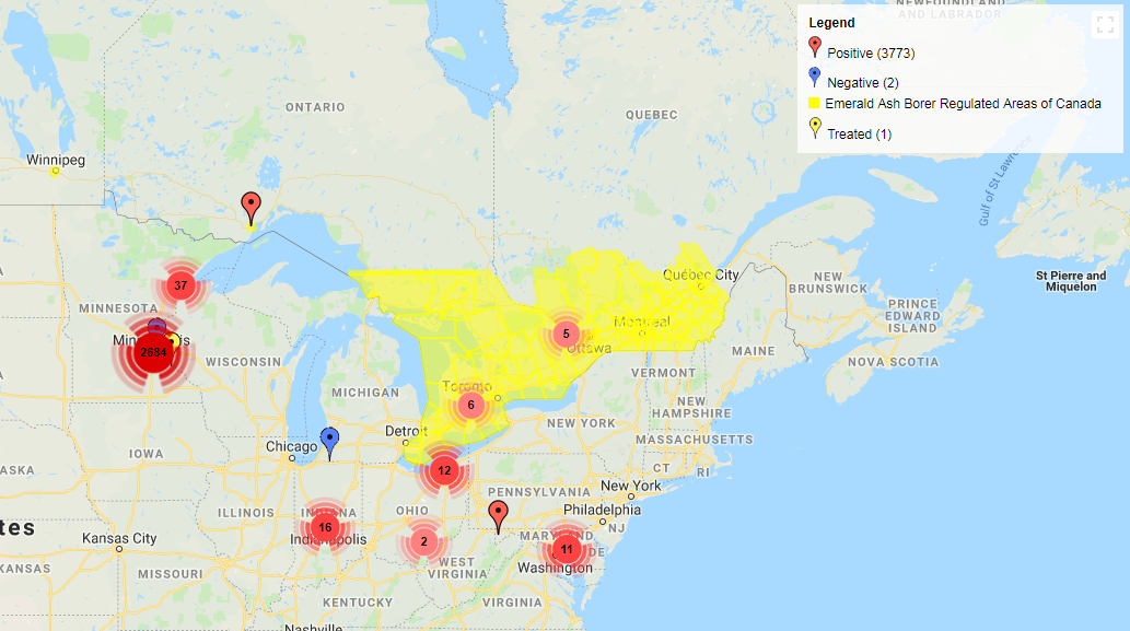 Featured image of post Recipe of Infestation Emerald Ash Borer Damage Map