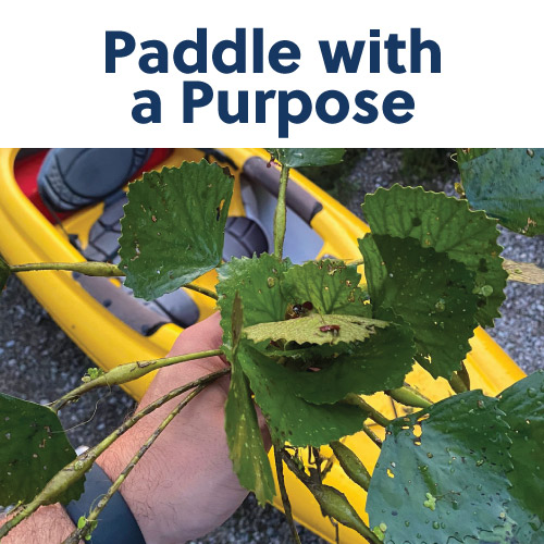 paddle with a purpose