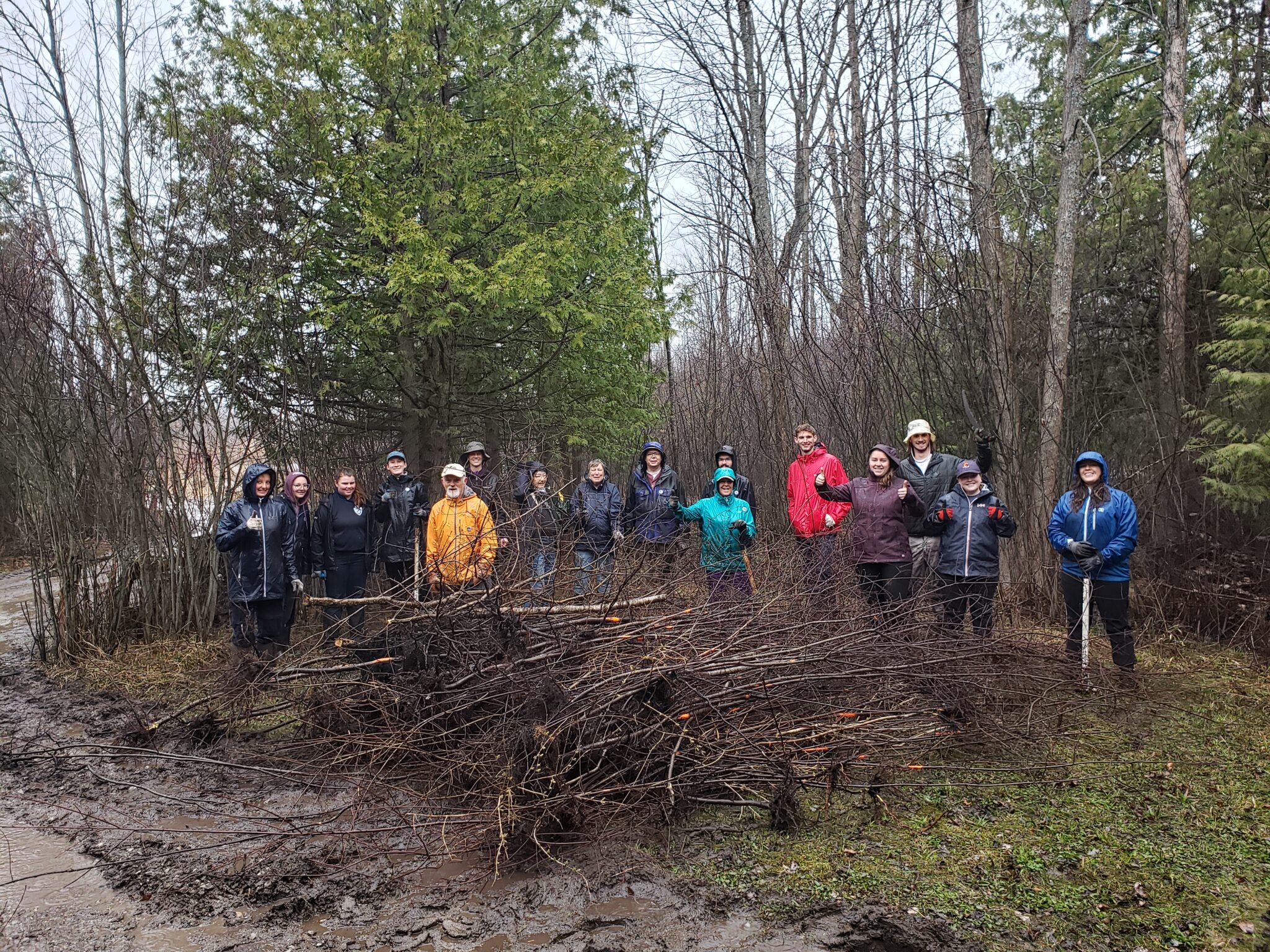 New Invasive Species Action Fund Supports On The Ground Action In Ontario Invasive Species Centre 