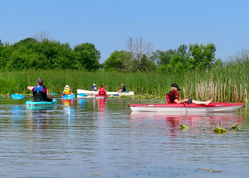 multiple people in a canoe